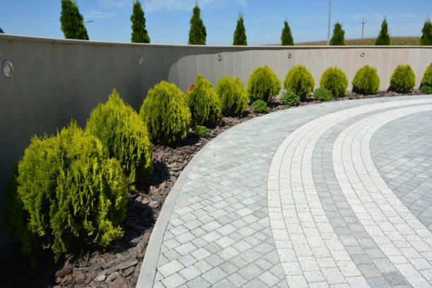 Best Custom Driveway Pavers  in Woodlake, CA